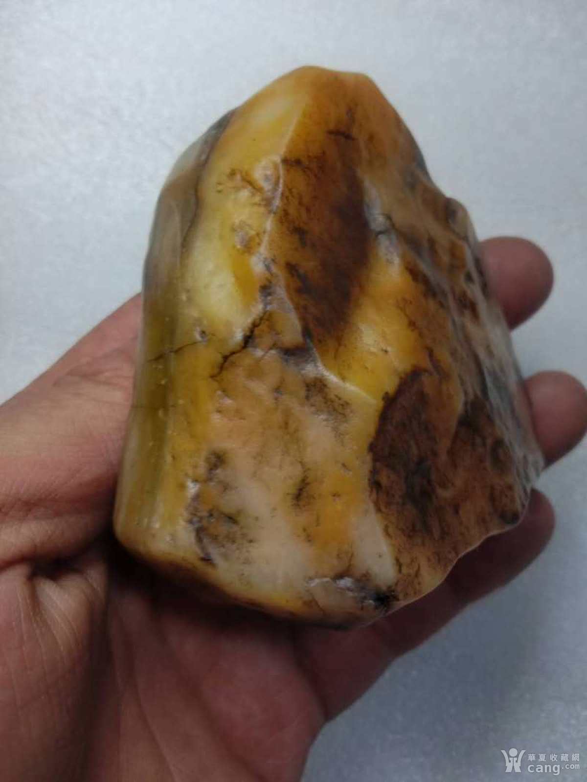 鸡油黄沙漠漆