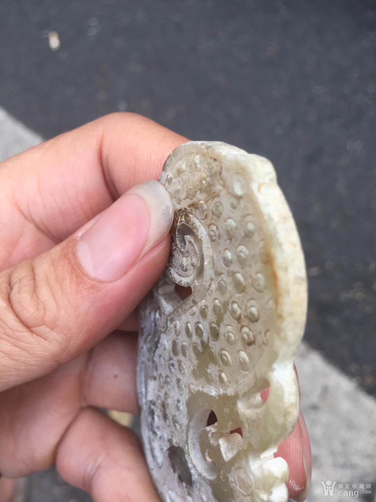 鸡骨白玉龙
