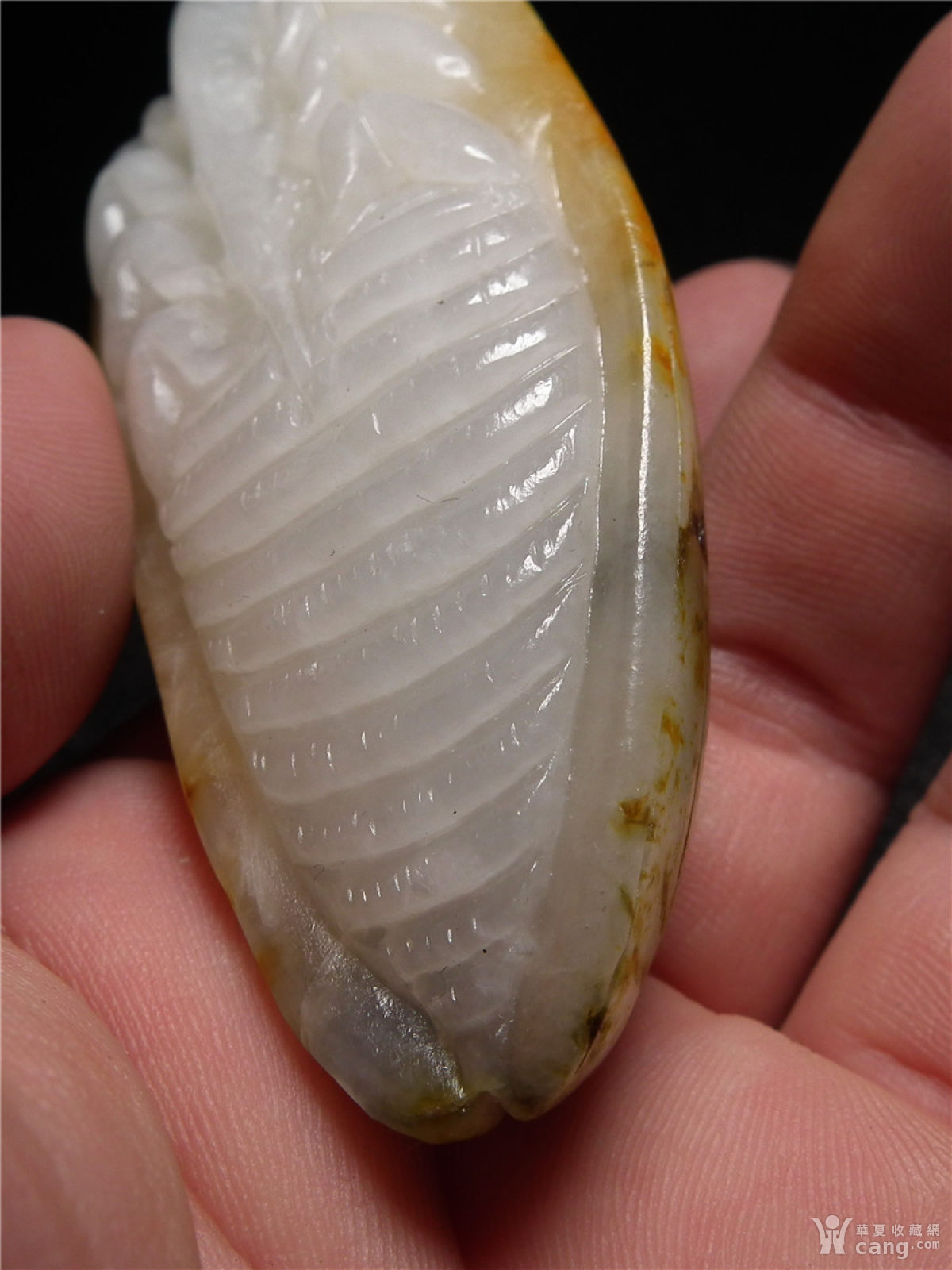 近现代和田白玉牛皮巧雕玉蝉大把件