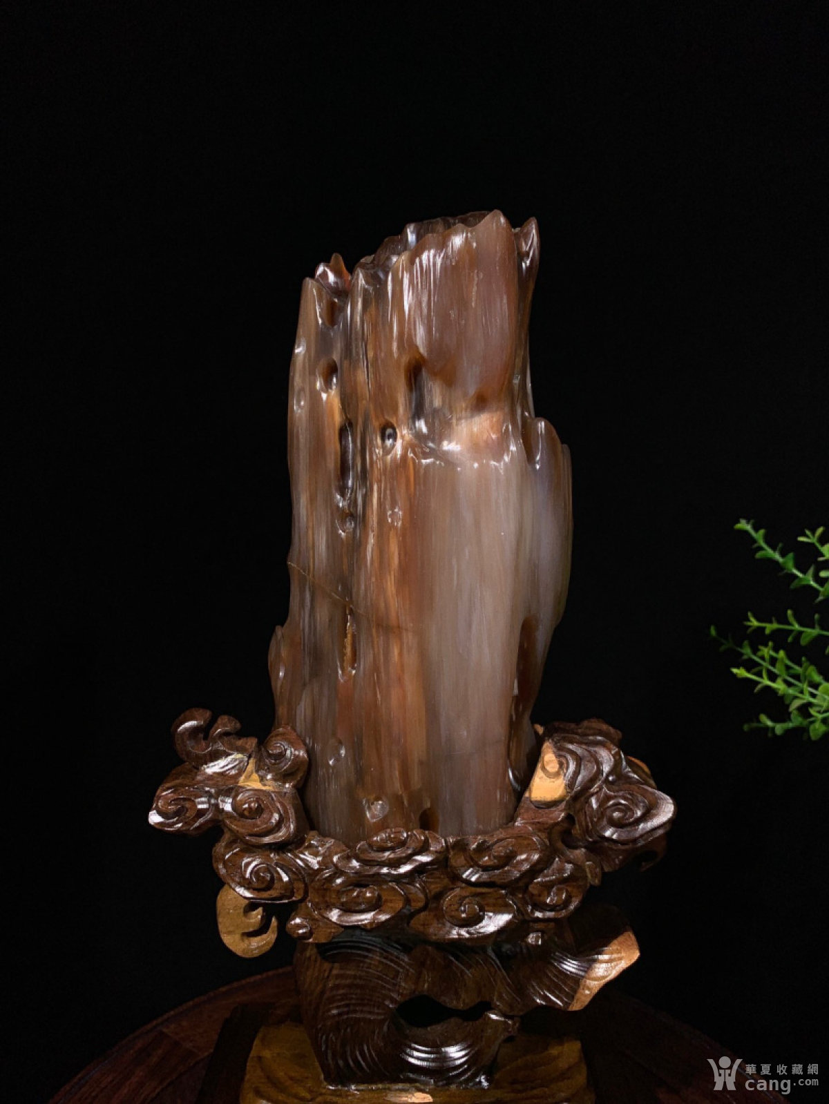 缅甸树化玉 天然冰种玉化奇石化石6