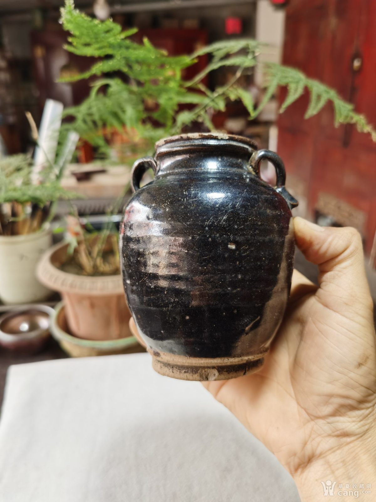 清代黑釉双耳罐