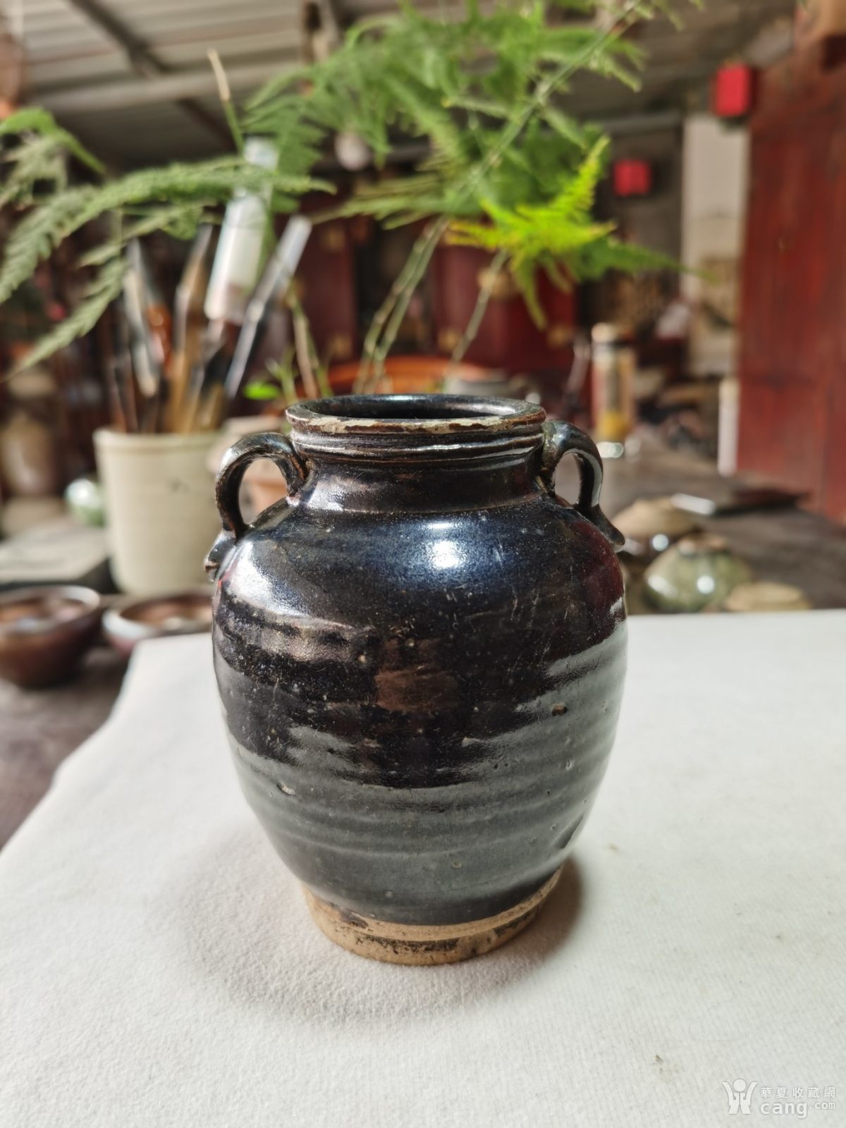 清代黑釉双耳罐
