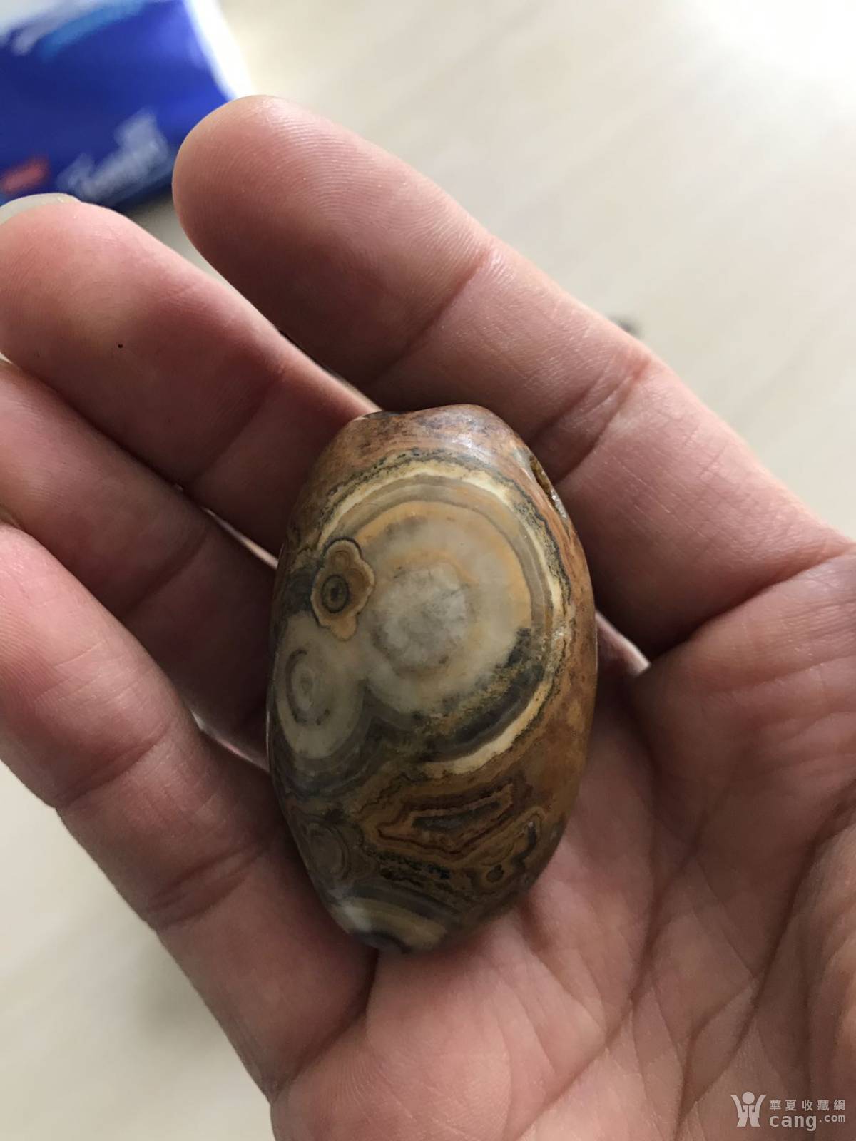 极为罕见的天然天珠