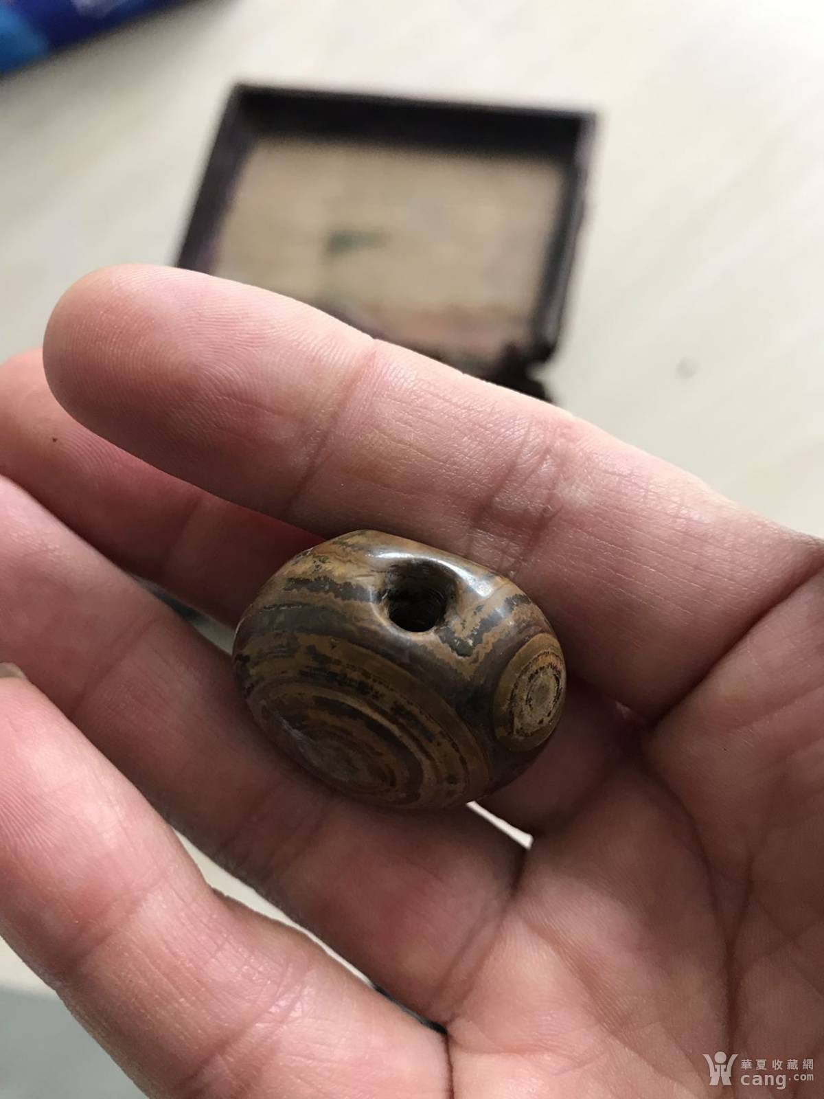 极为罕见的天然天珠