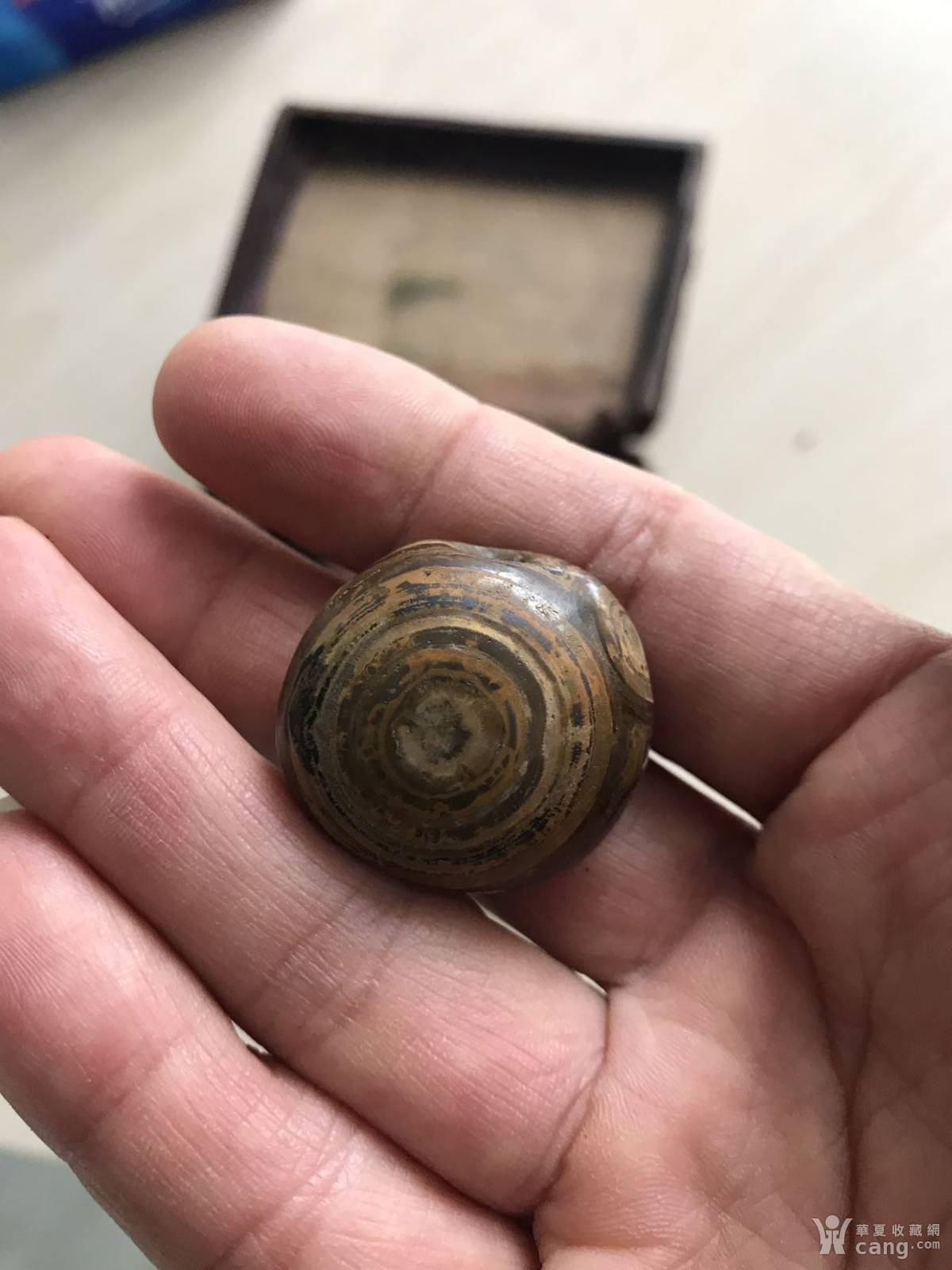 极为罕见的天然天珠