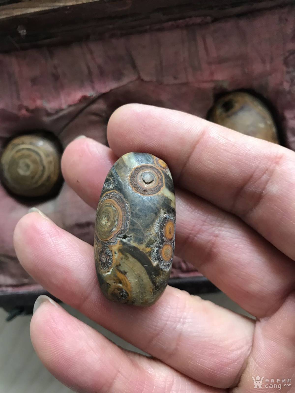 极为罕见的天然天珠