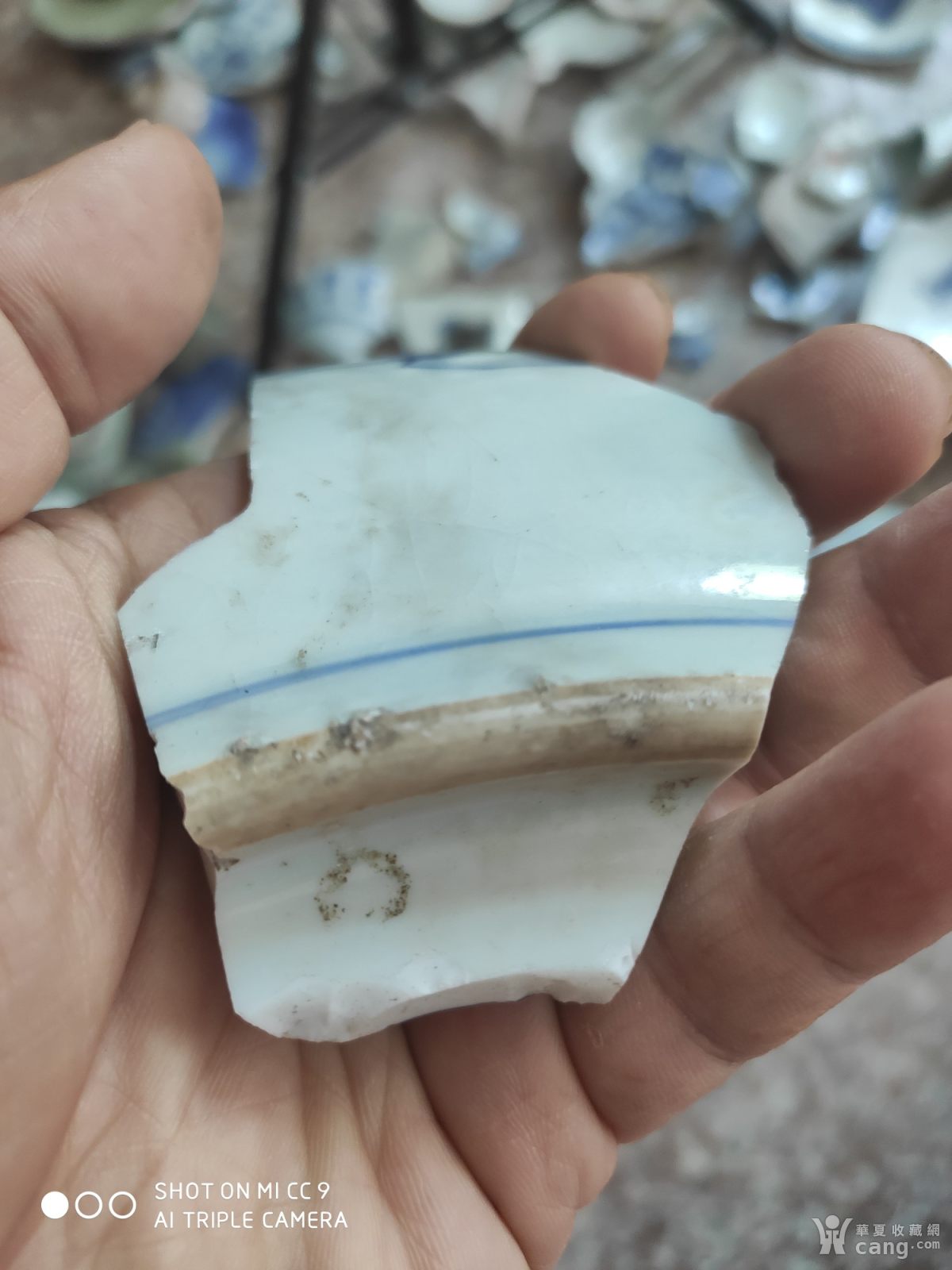 珠明料青花标本>