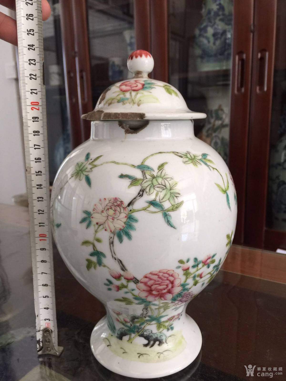 民国洪宪粉彩超细路灯笼罐