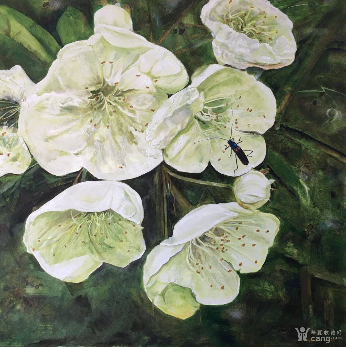 20200605-32 原创手绘油画 【山楂花】