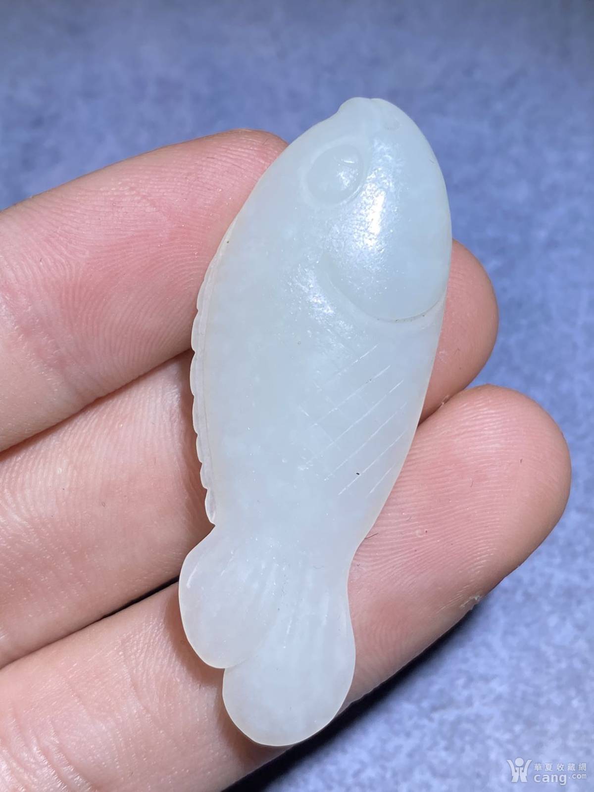 老和田玉 白玉玉鱼