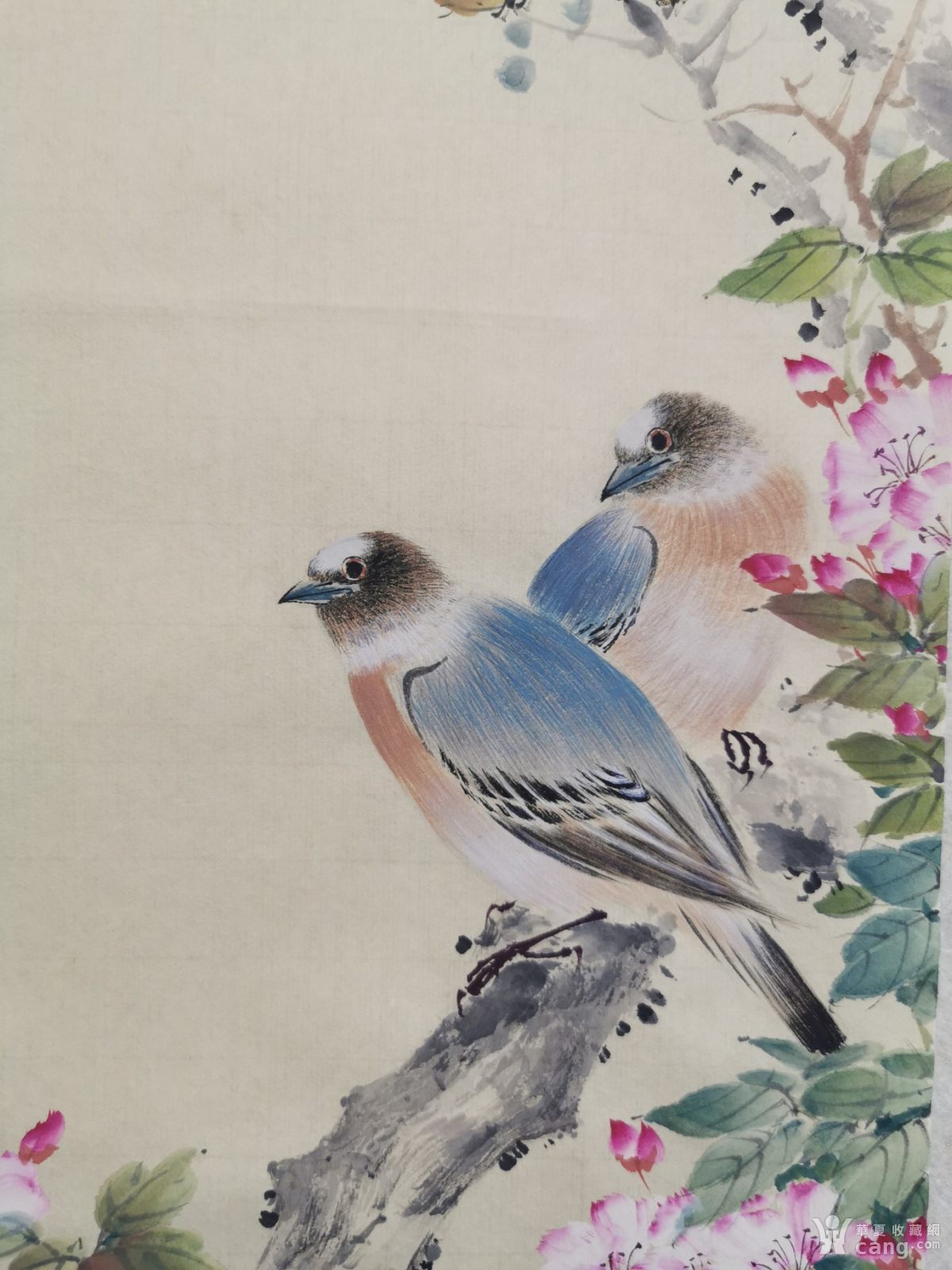 zq-21-41优秀青年女画家张琼兼工带写花鸟