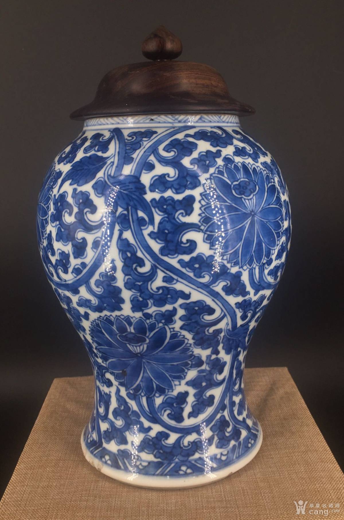 康熙翠毛蓝缠枝莲凤尾尊