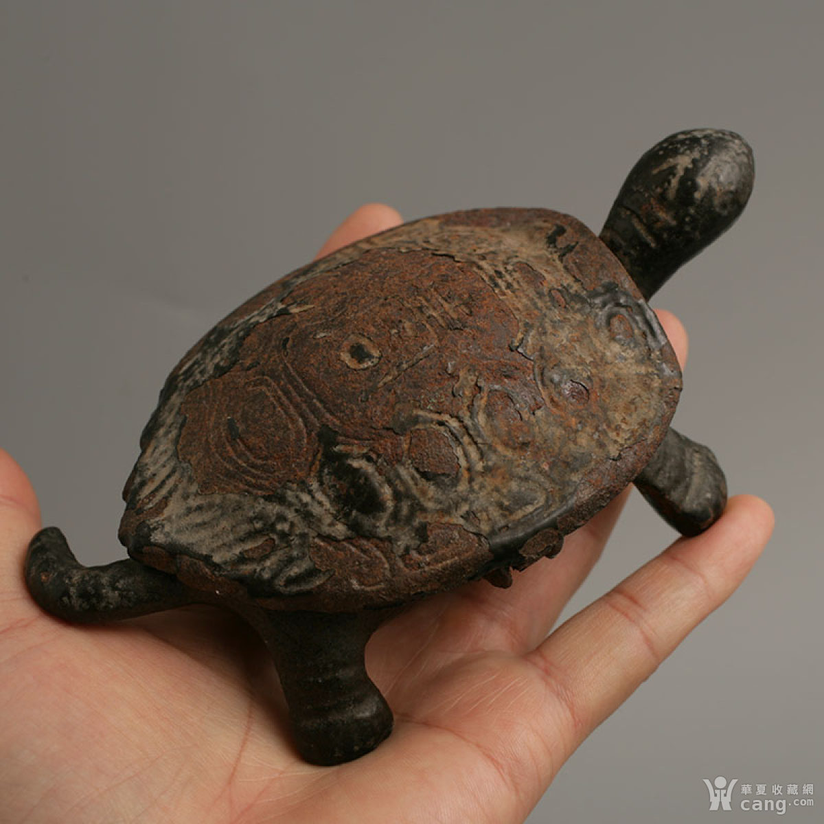 早期铸铁寿龟一只