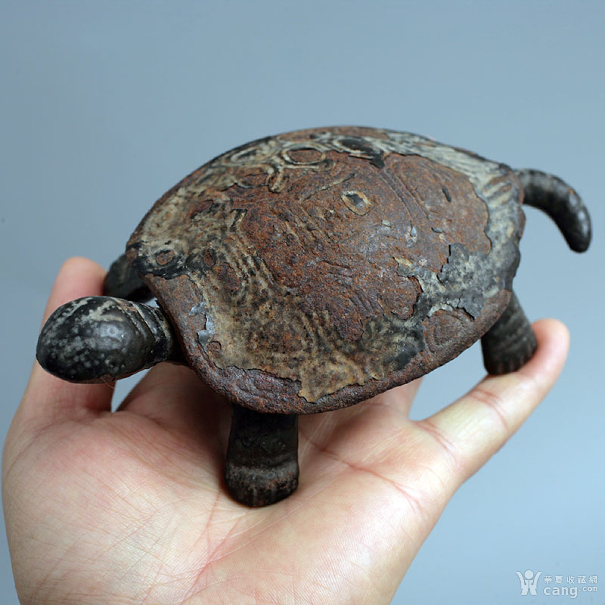 早期铸铁寿龟一只