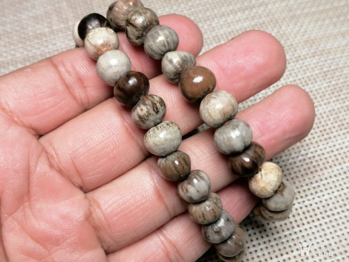 老草珠菩提手串两条