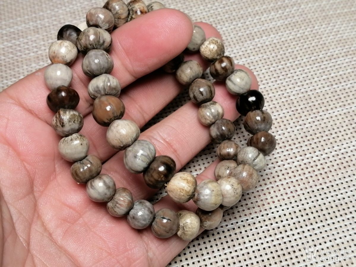 老草珠菩提手串两条