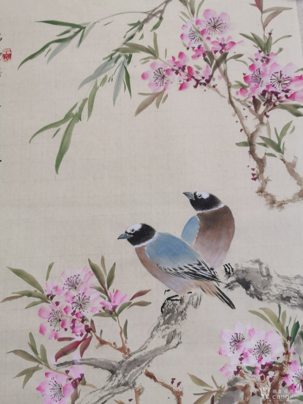 【精品放漏】zq-21-39优秀青年女画家张琼兼工带写花鸟