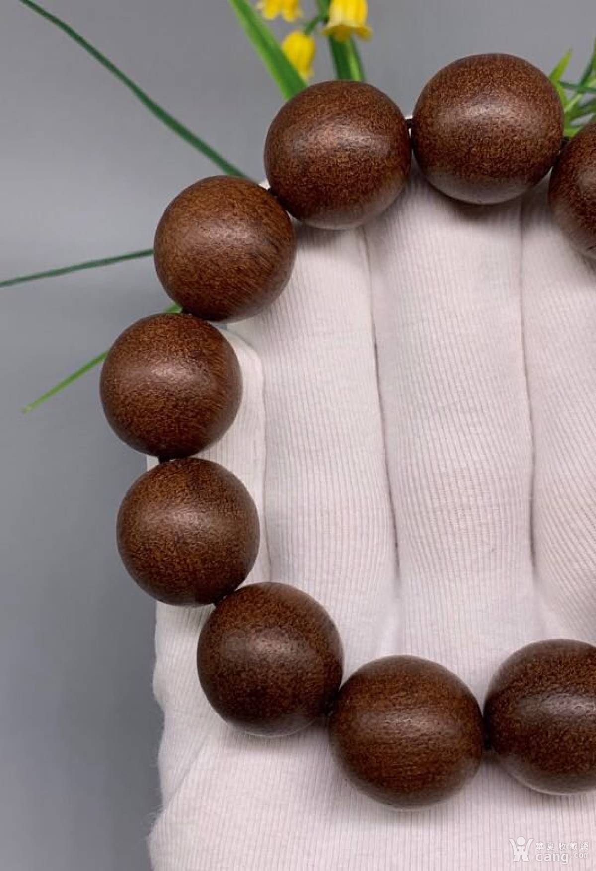 越南富森红土沉香. 尺寸:2.0cm重52克左右,天