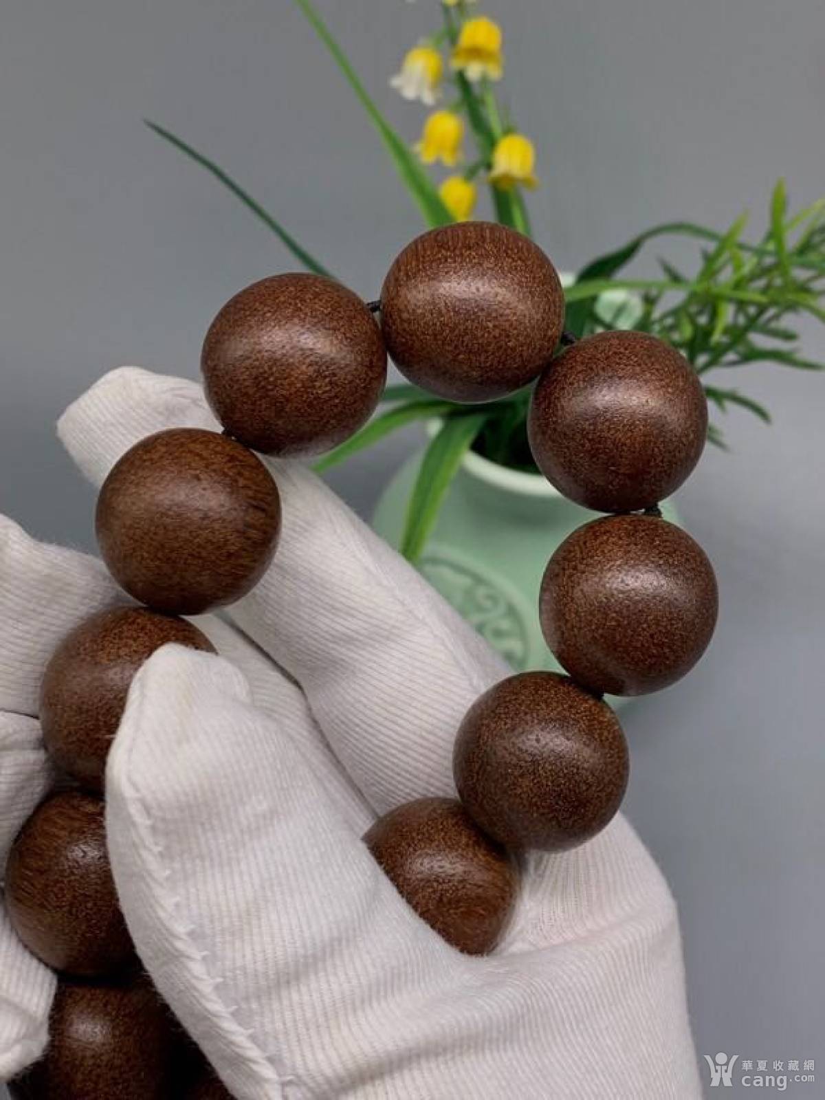 越南富森红土沉香. 尺寸:2.0cm重52克左右,天