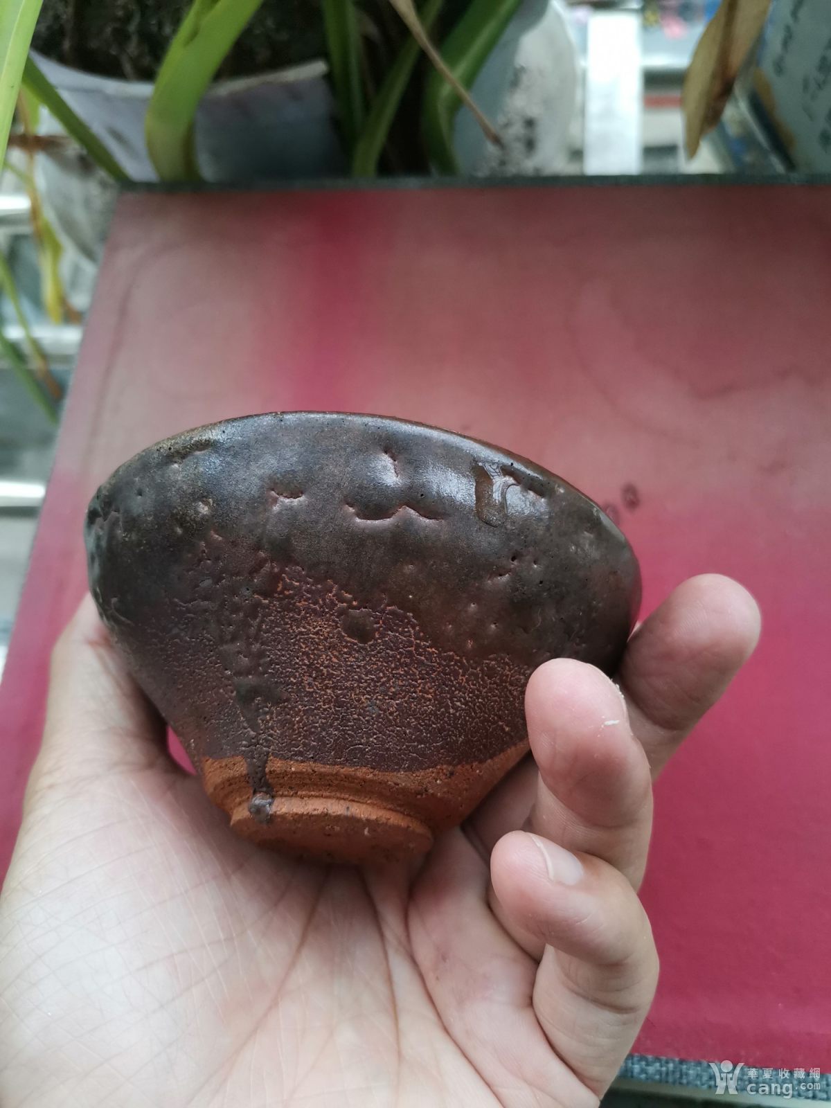 宋建窑系龟背盏