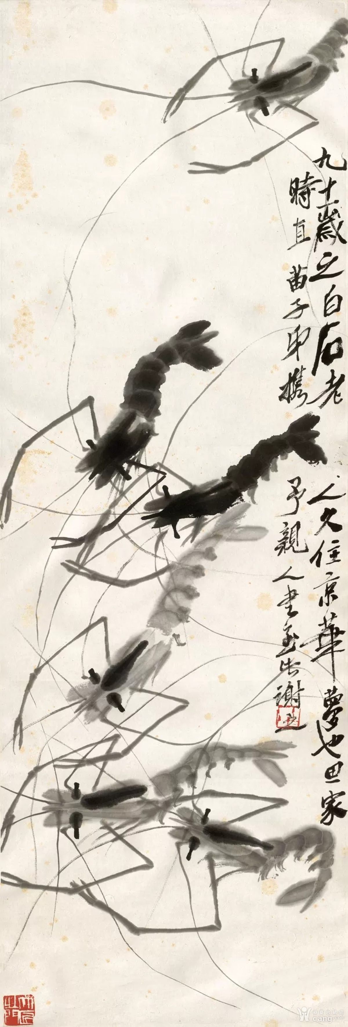 字画 国画 水墨写意画～虾