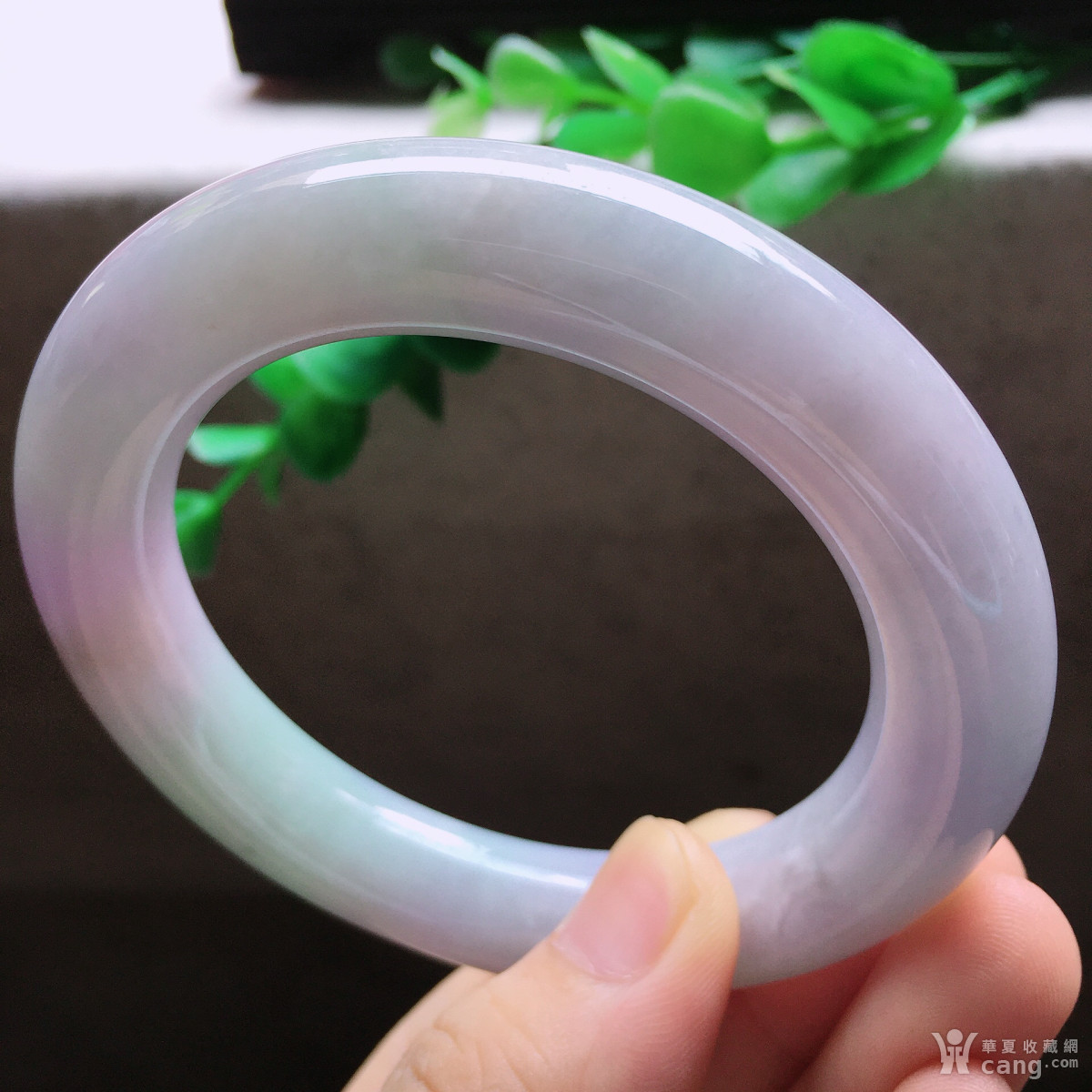 天然翡翠a货老坑圆条玉手镯冰糯种紫罗兰水润玉镯子