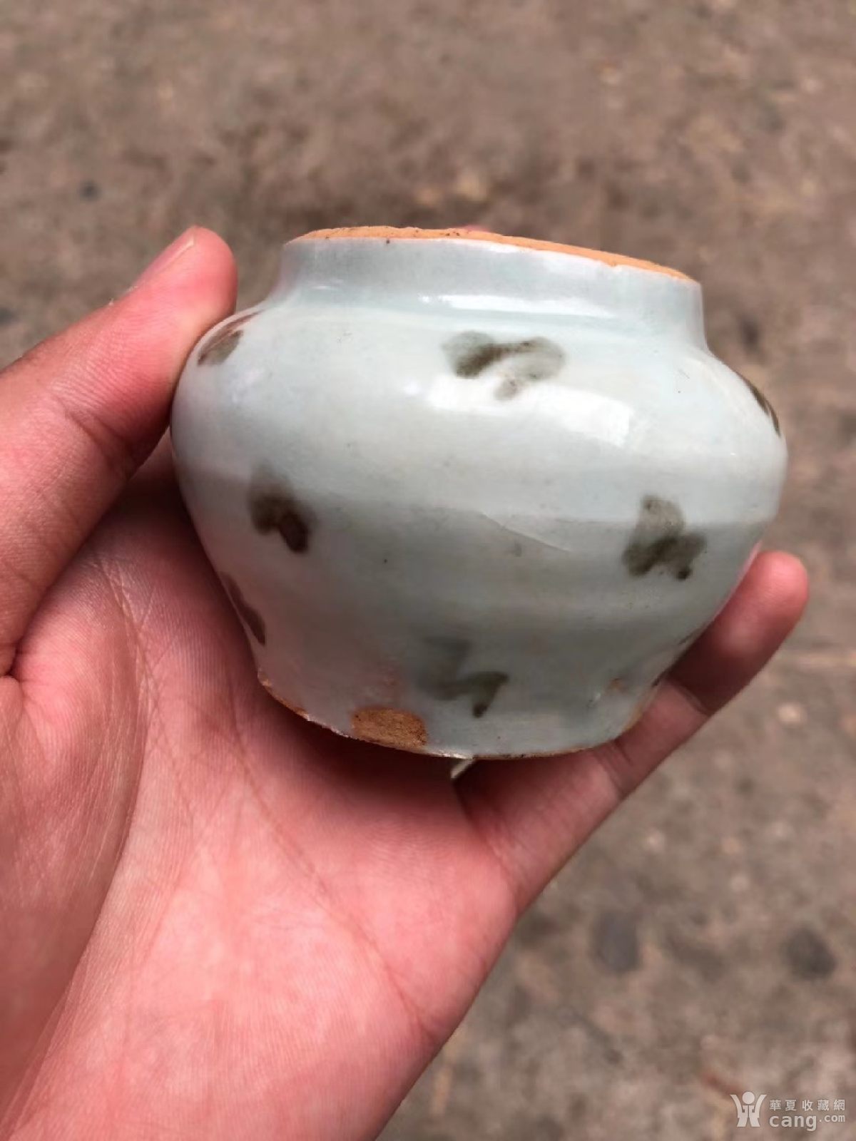 元代 点彩 小罐