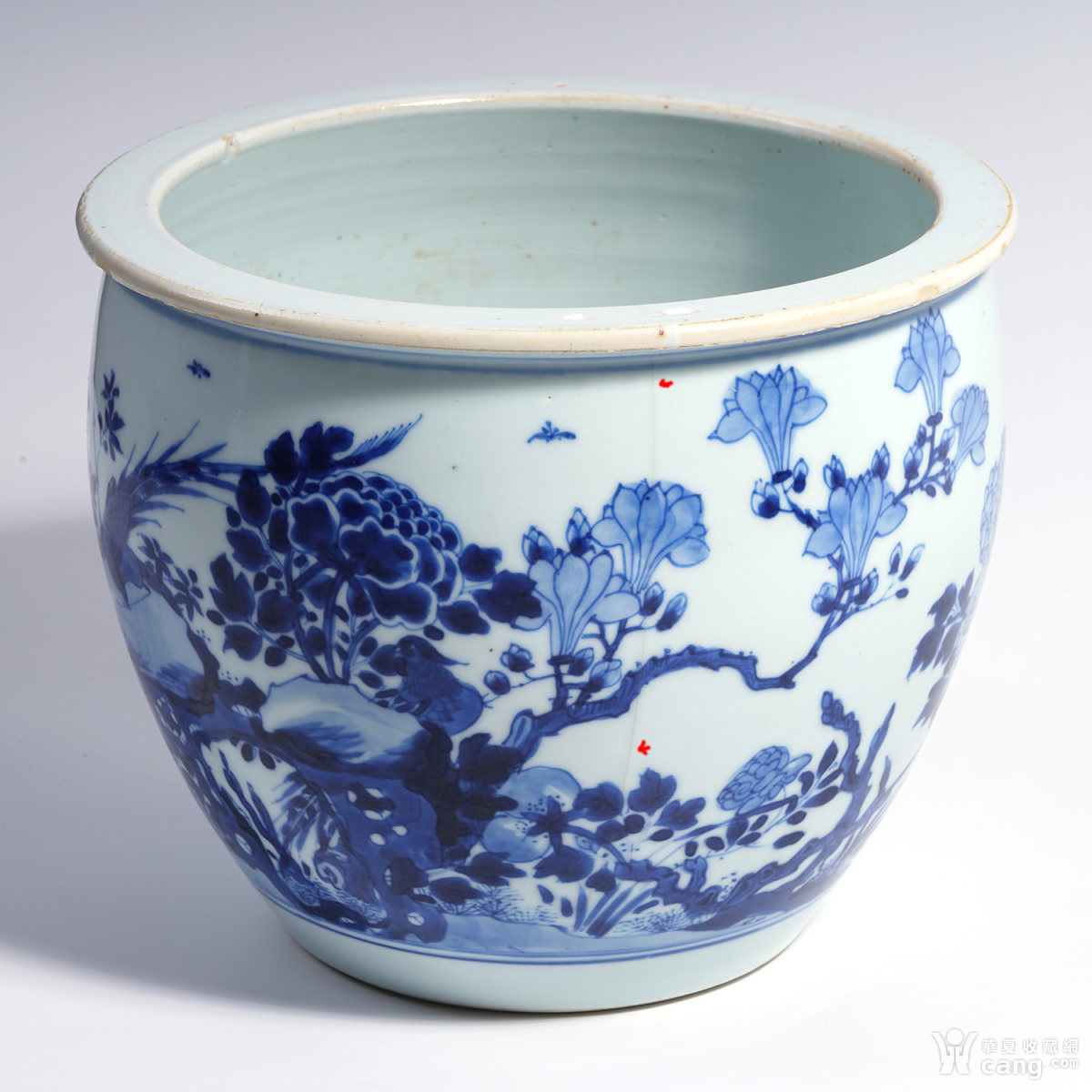 清康熙 青花雉鸡牡丹纹卷缸