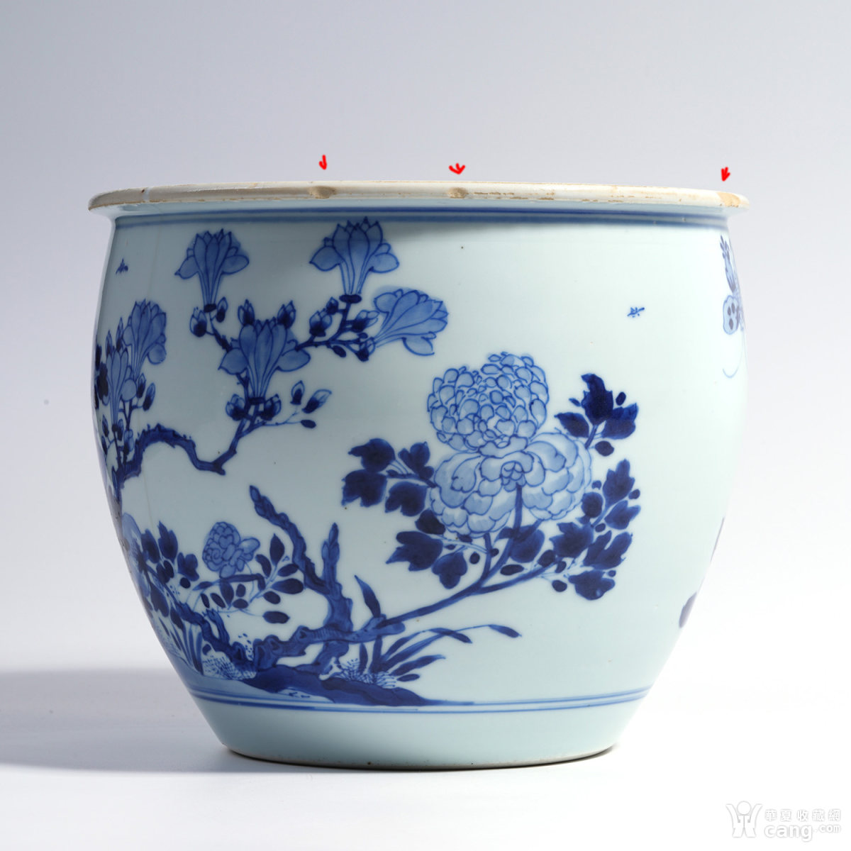 清康熙 青花雉鸡牡丹纹卷缸