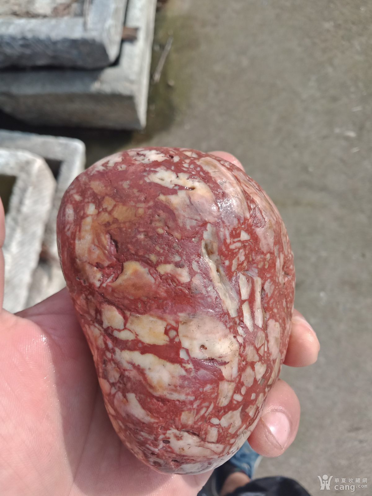 红白相间的猪腰子石头