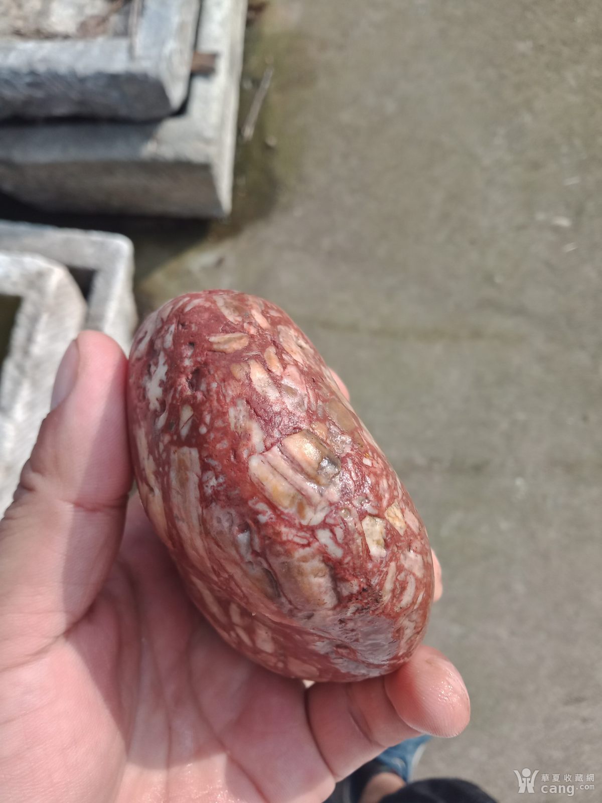 红白相间的猪腰子石头