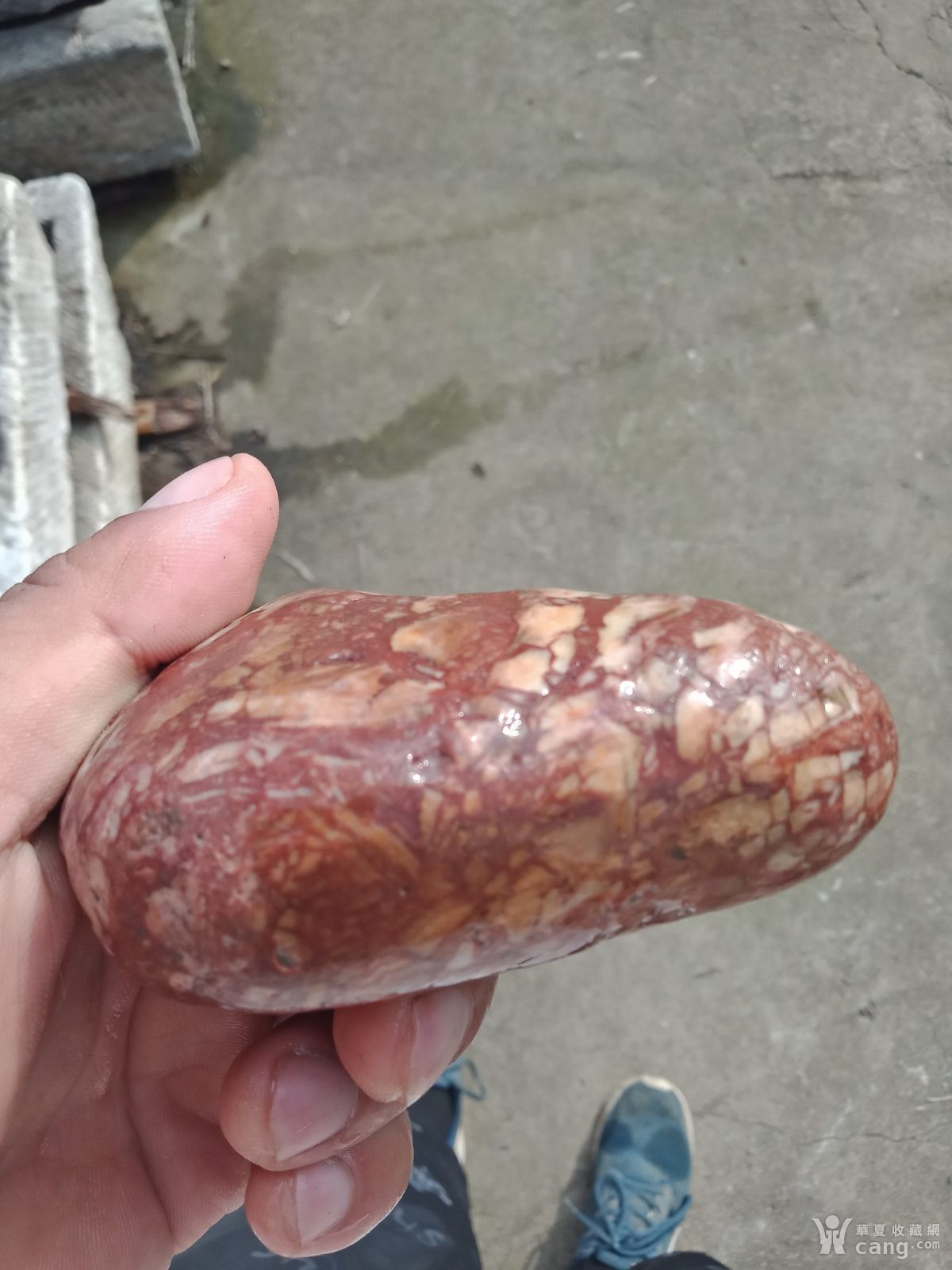 红白相间的猪腰子石头