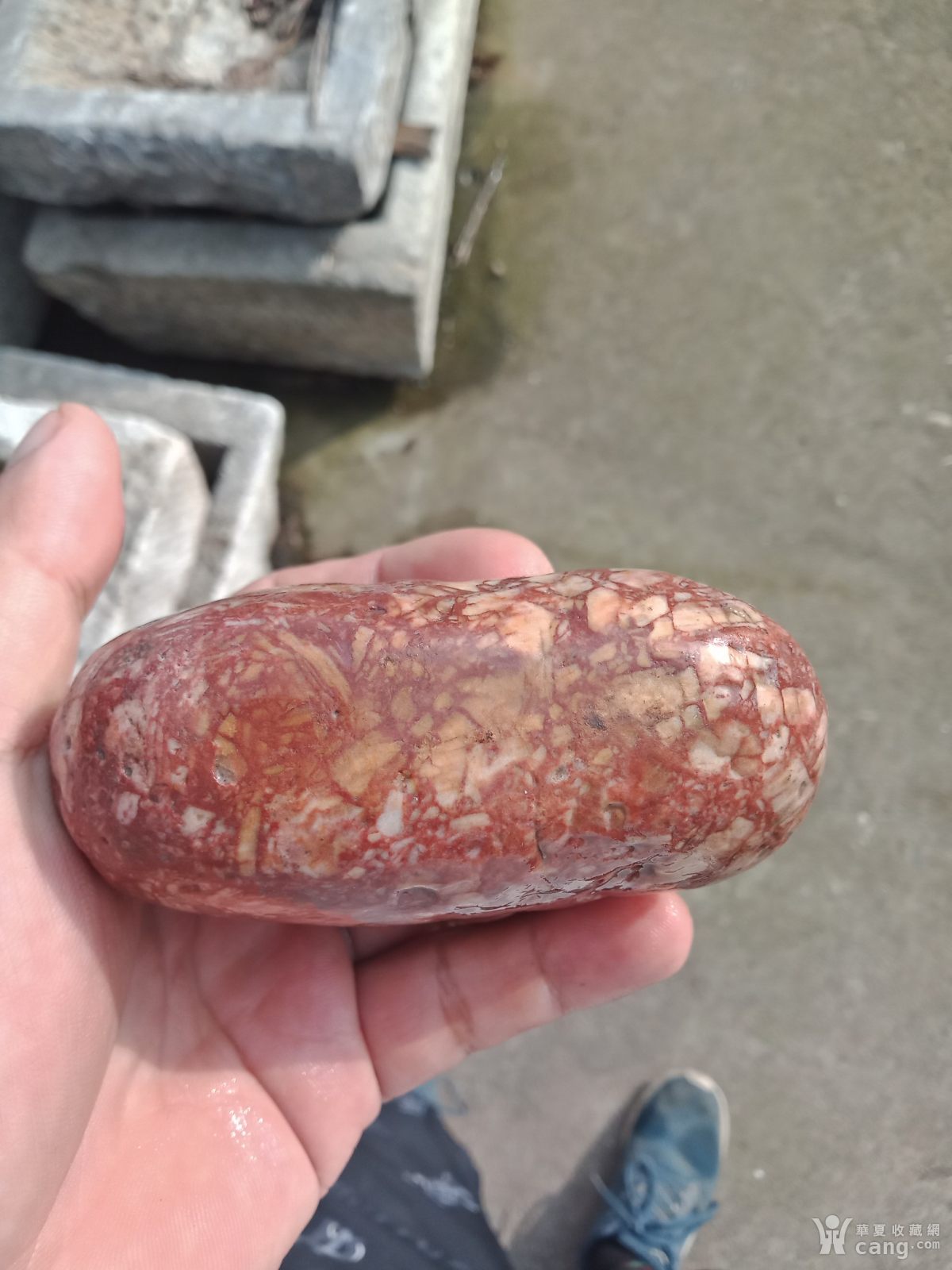 红白相间的猪腰子石头