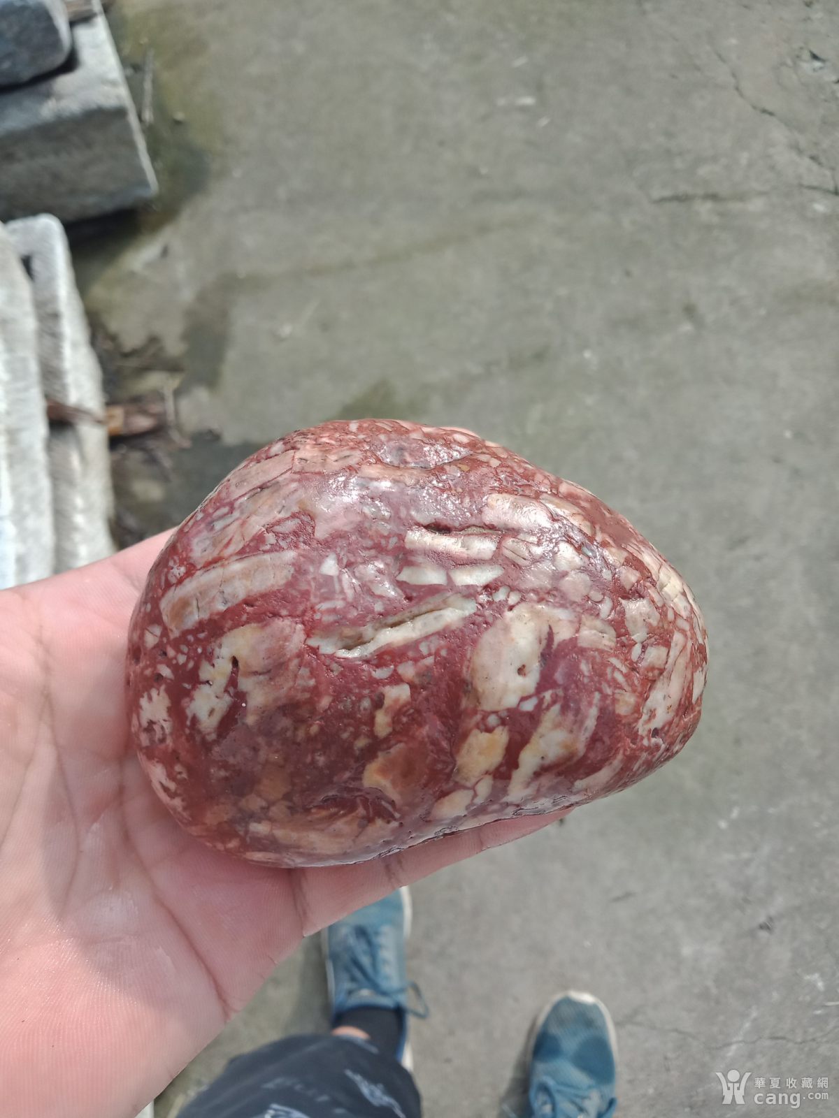 红白相间的猪腰子石头