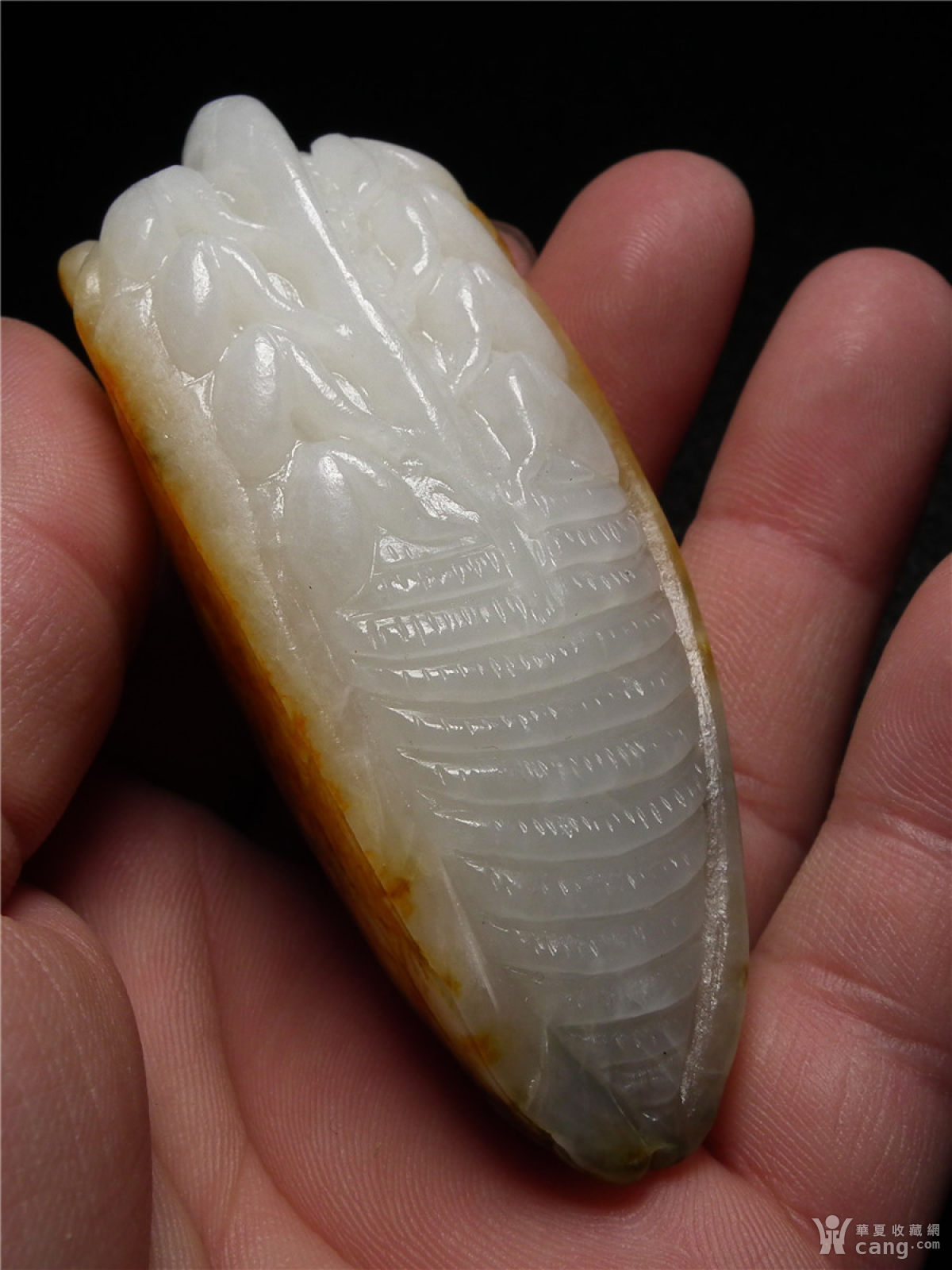 近现代和田白玉牛皮巧雕玉蝉大把件