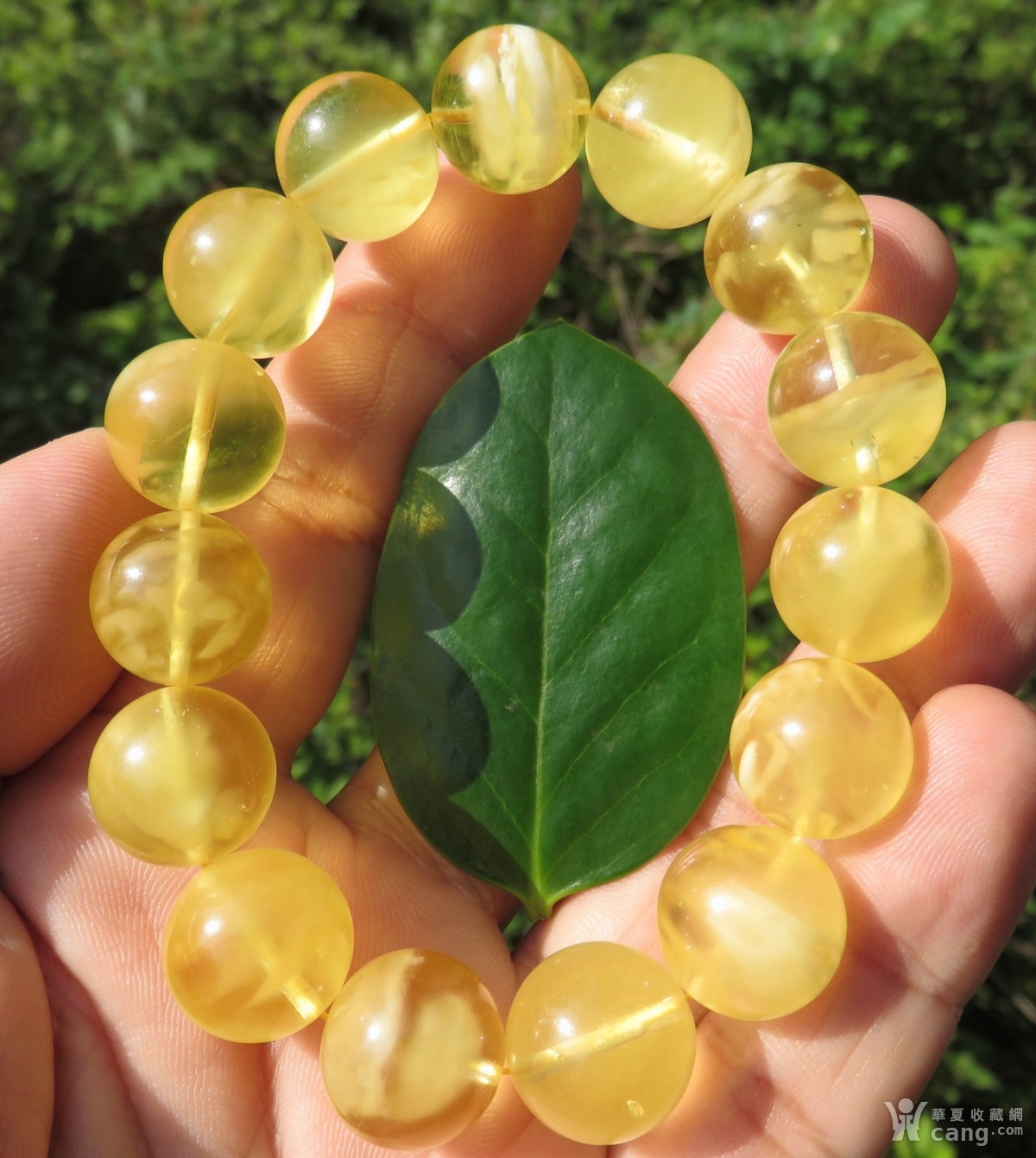 天然原矿"金绞蜜"蜜蜡佛珠23克