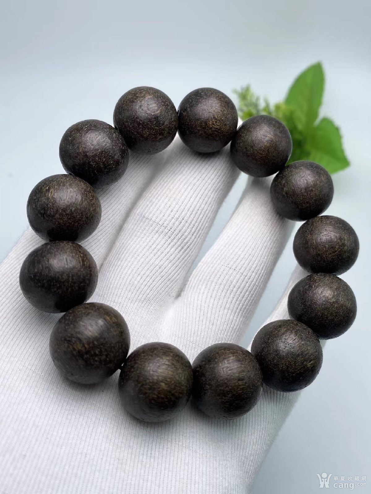 东马沉香 规格1.8cm克重35克左右 软丝沉香 糖结料