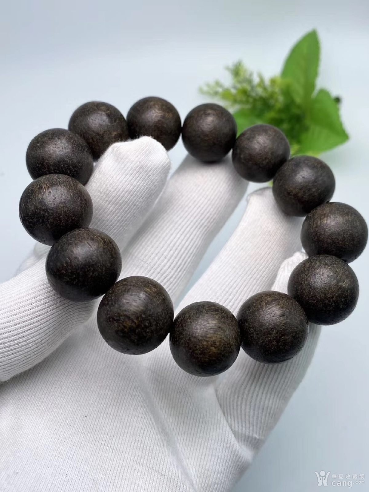 东马沉香 规格1.8cm克重35克左右 软丝沉香 糖结料