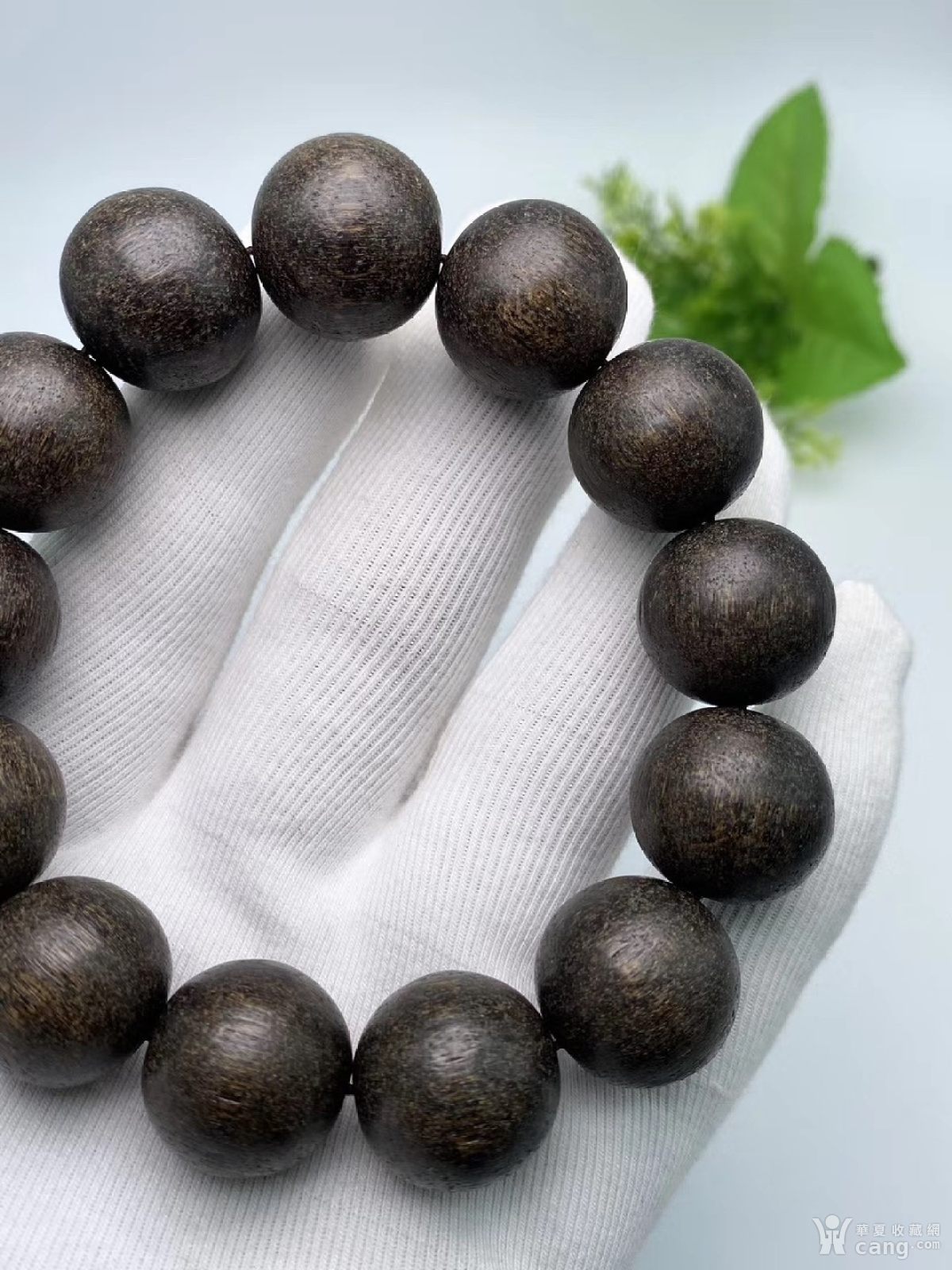 东马沉香 规格1.8cm克重35克左右 软丝沉香 糖结料