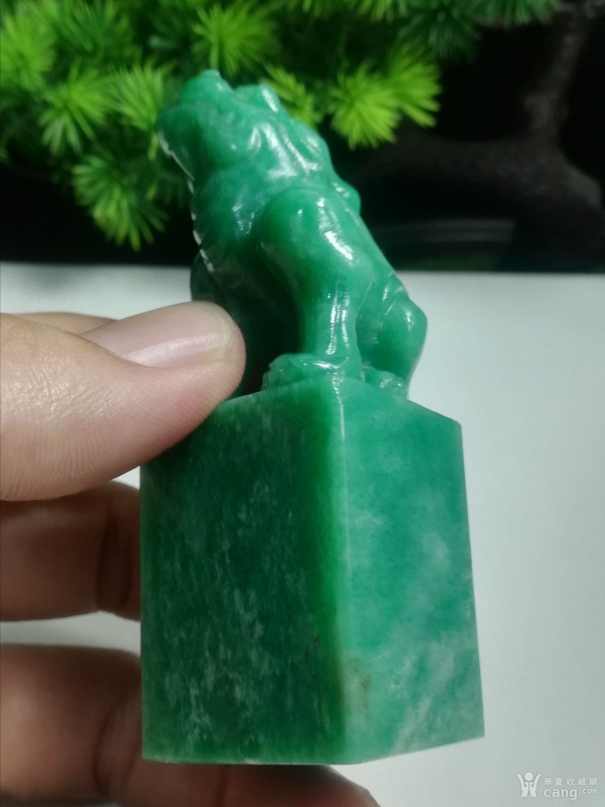 广东翡翠绿印章石