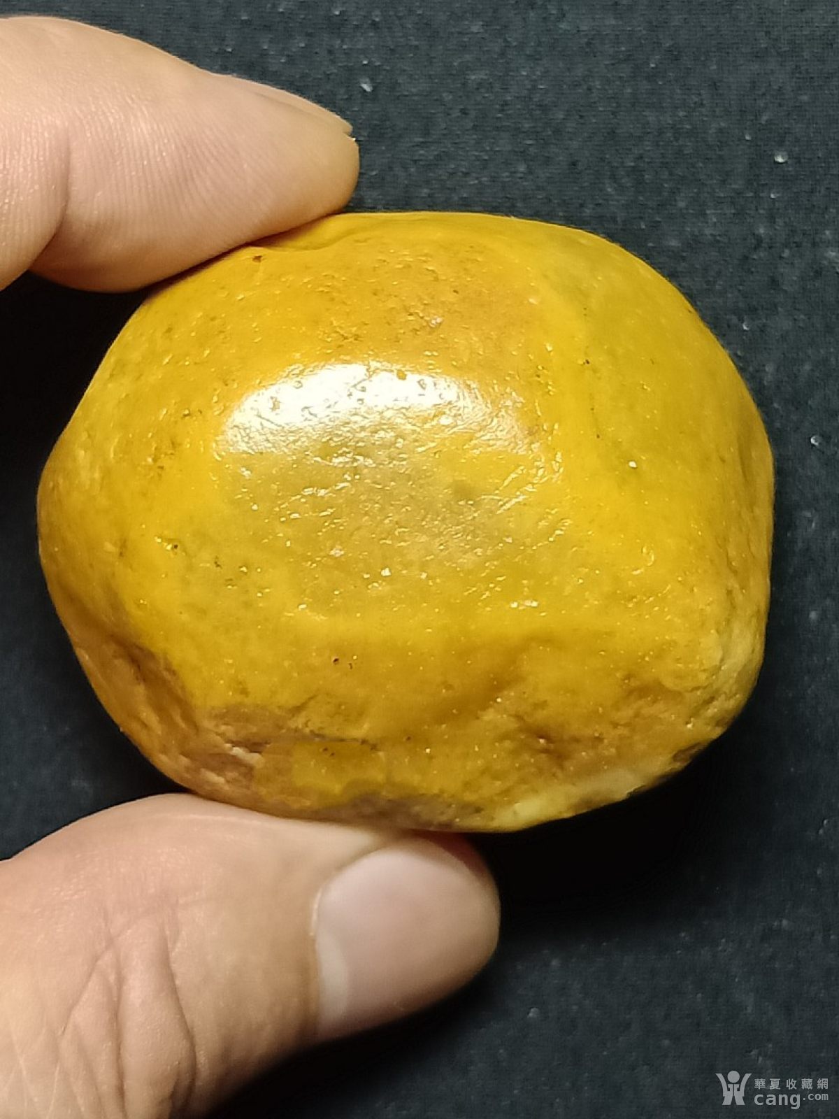新疆金丝玉原石500克,白皮红肉雪里红,完整无裂
