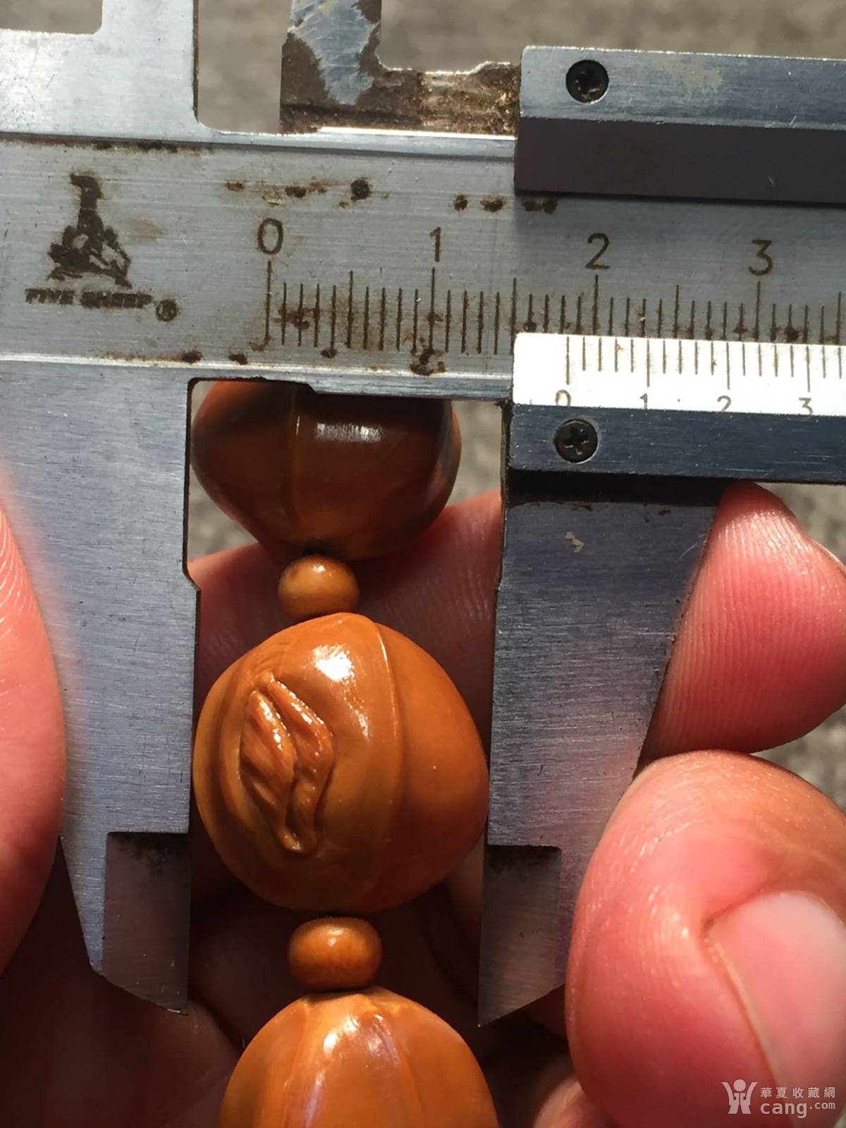 苏工手作铁核鲨鱼背《生命之源》手把件 - 核雕 - 杂项 - 华夏收藏网