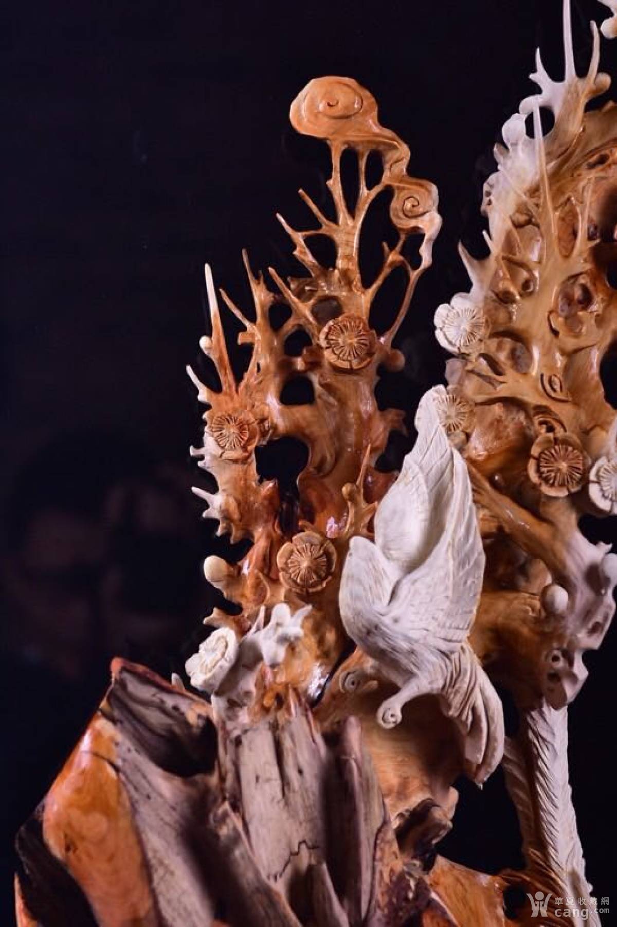 梅花~喜上眉梢》崖柏陈化双色料,无拼接,雕工精细,油性十足