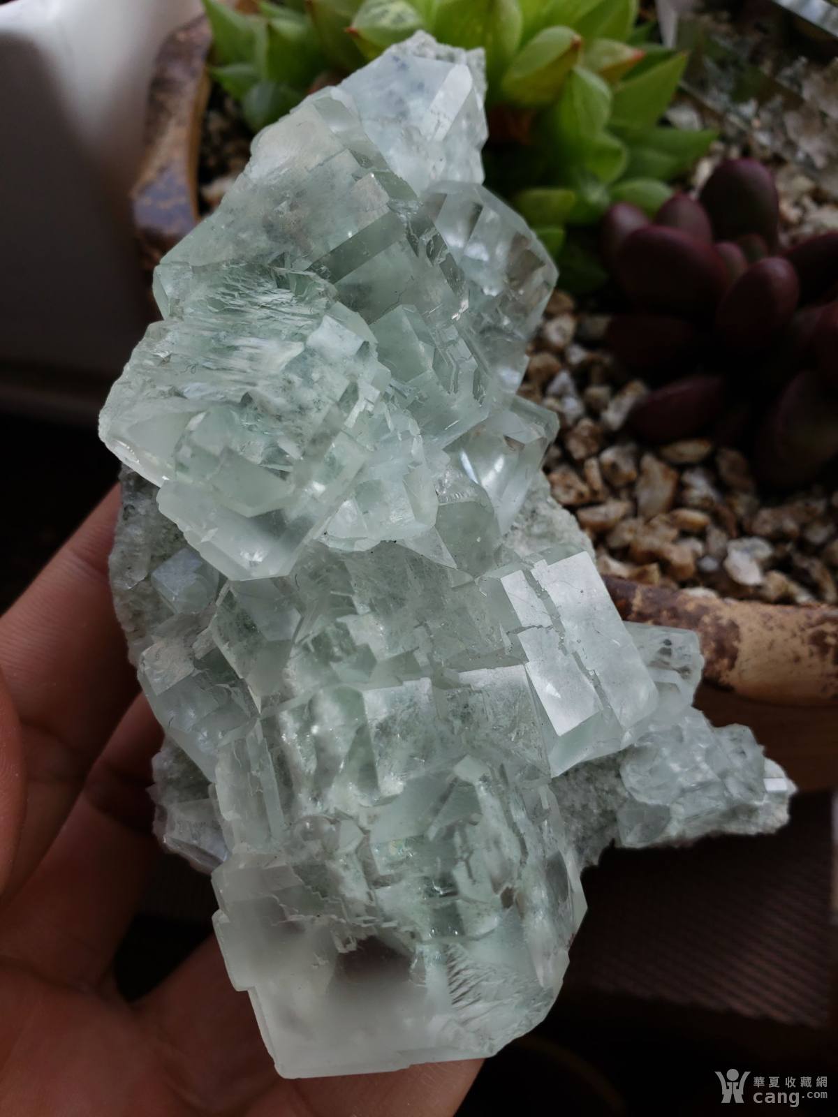 精品**透明立方体绿萤石矿标矿晶摆件观赏石奇石