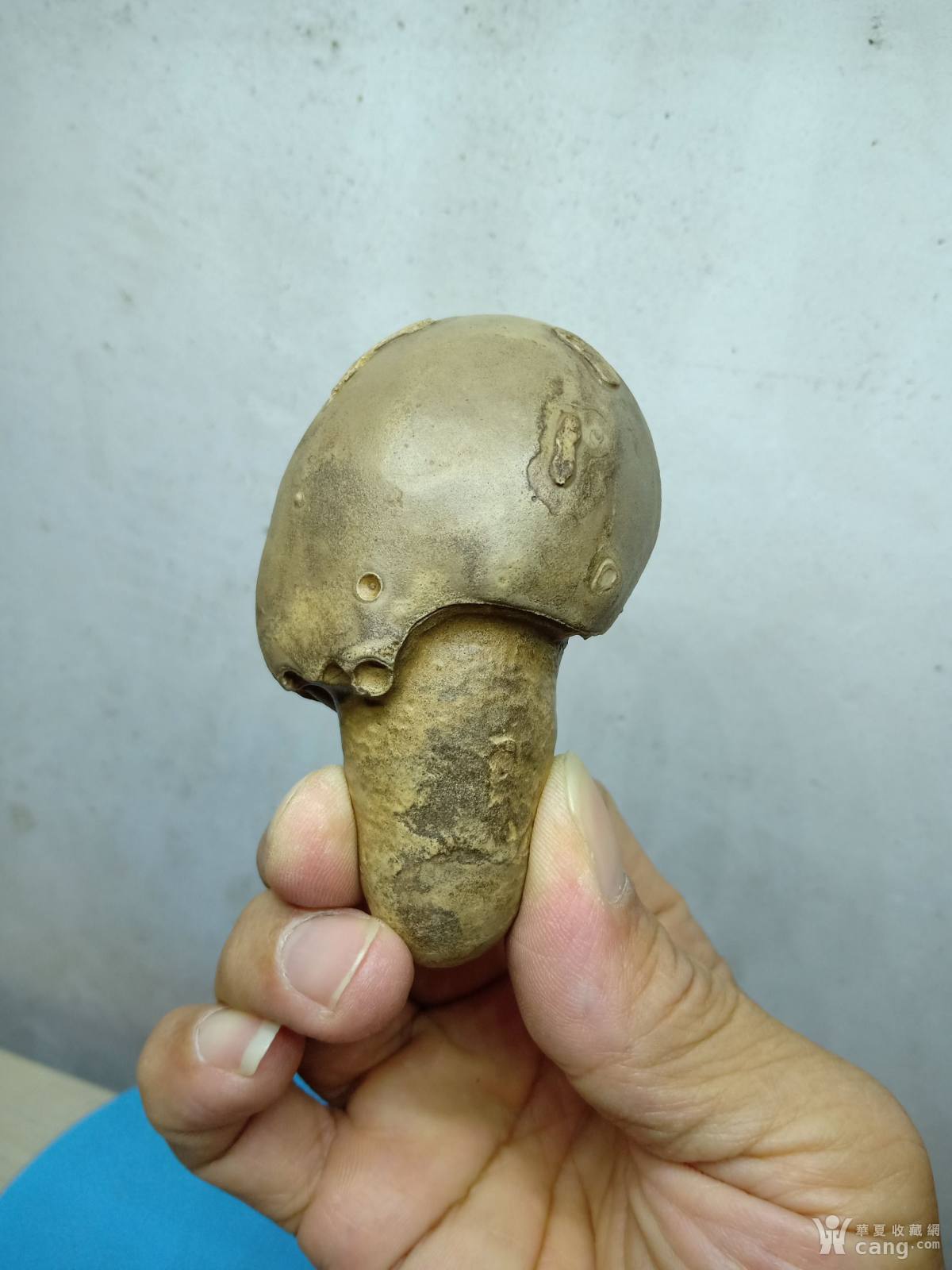 埃及水冲石《蘑菇》