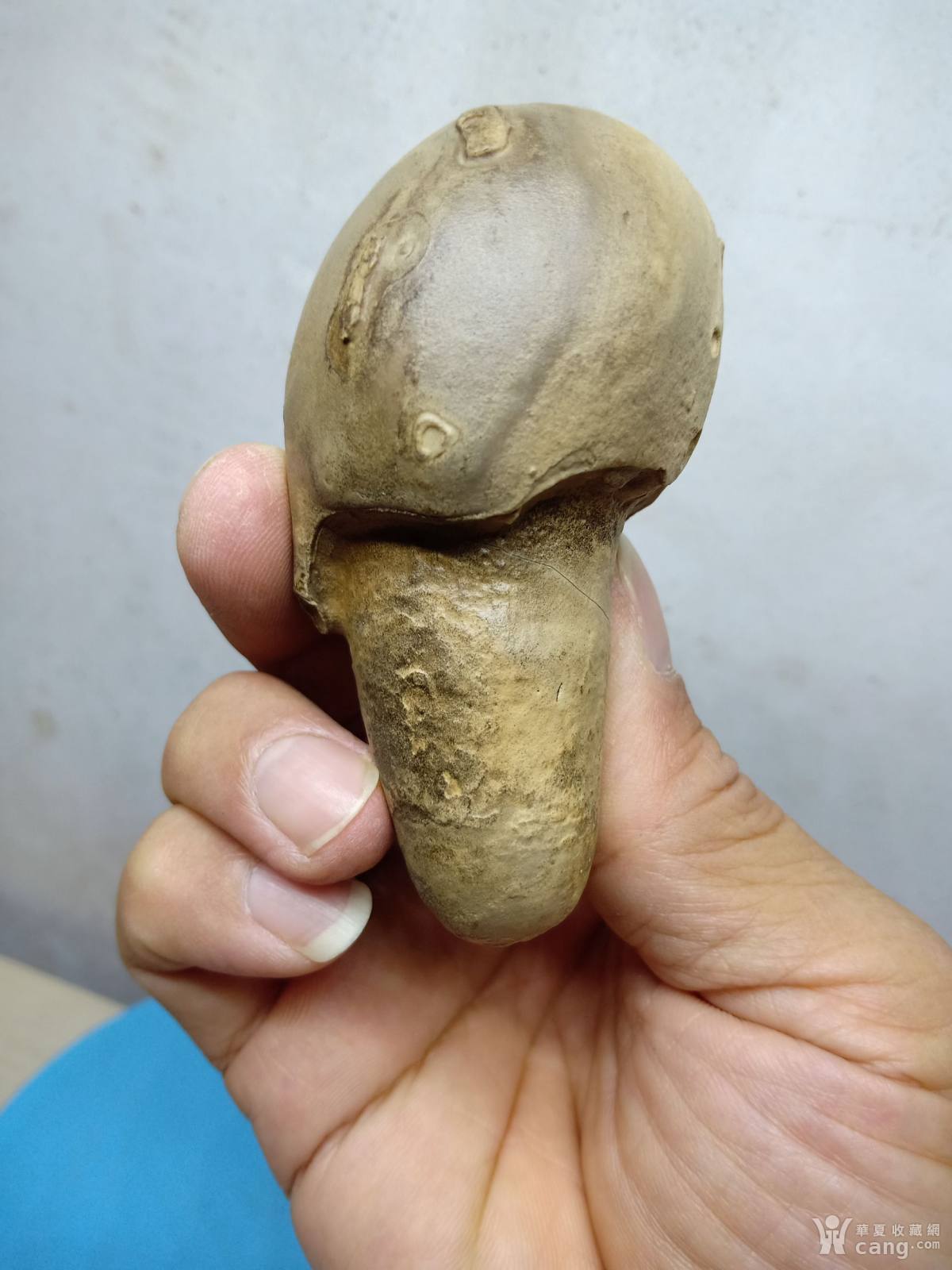 埃及水冲石《蘑菇》