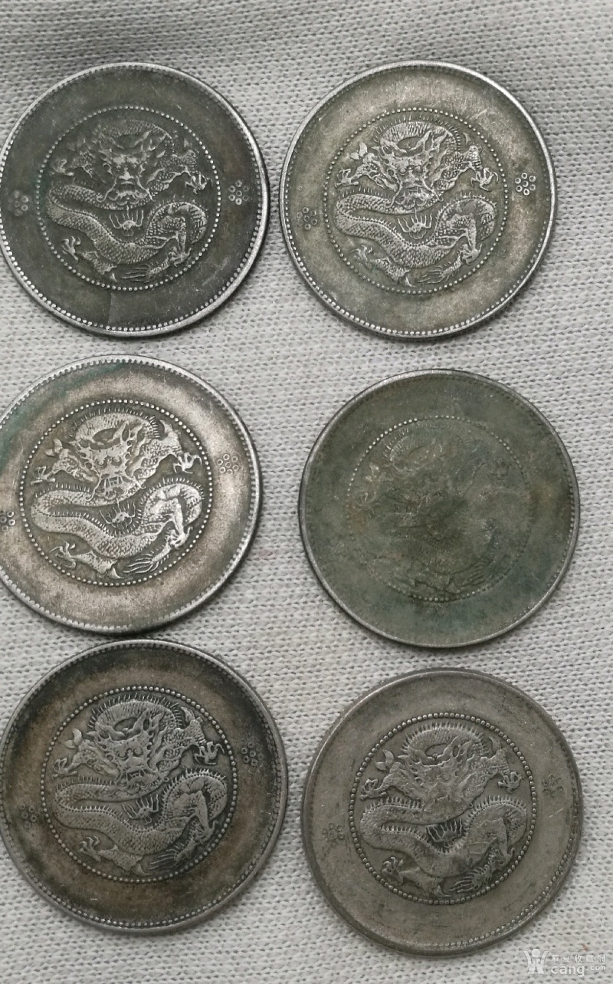 云南龙,半圆形9枚