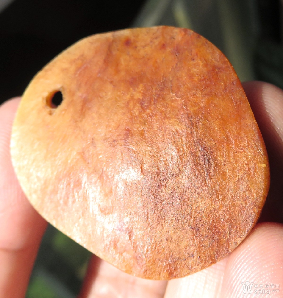 【精品放漏】殊圣精品藏传"嘎巴拉"法衣片