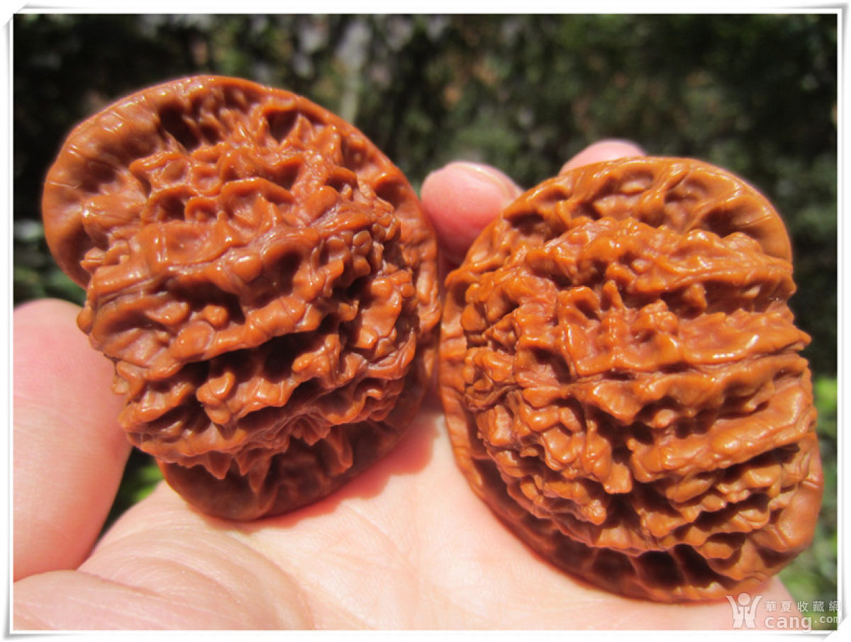 【云破处】盘玩5年的很高档的麒麟纹狮子头一对核桃