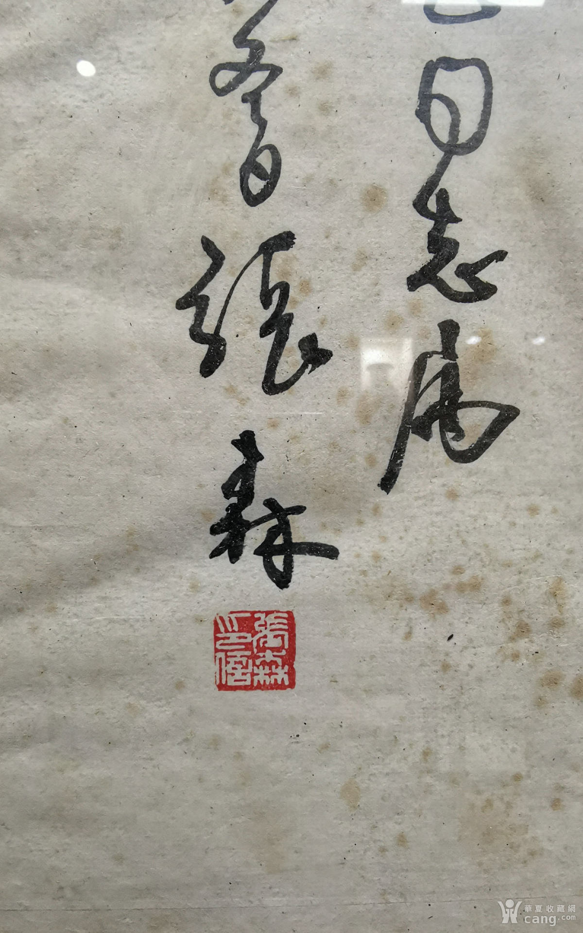 197782_1604019494083336_w1017_h1626.jpg!hx_scale_w1200